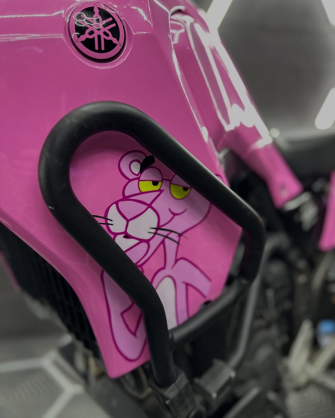 Projet hors du commun sur cette Yamaha Ténéré 700  (2)