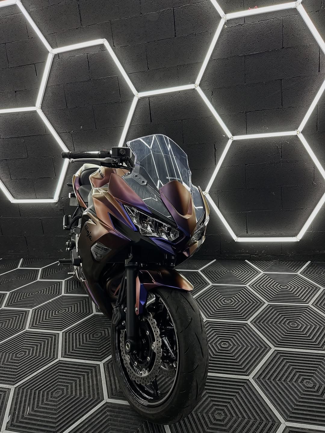 Cette kawazaki ninja 650 gris mat d’origine, s’est (2)